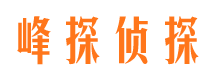 成安商务调查